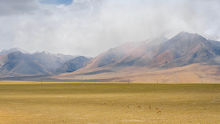 南浔水乡与周庄的对比之旅
